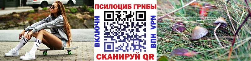 Псилоцибиновые грибы мухоморы  shop официальный сайт  Евпатория 